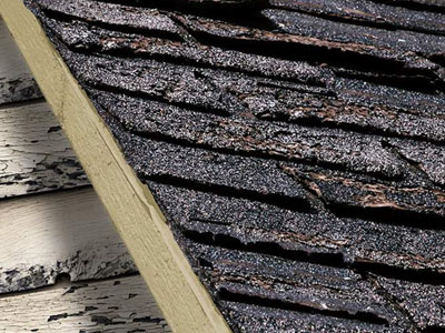 Mountain Pacific Roofing Images